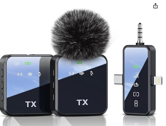 Mini Microphone
